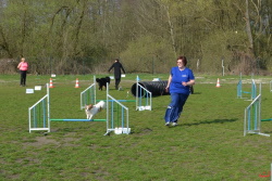 Hundesport