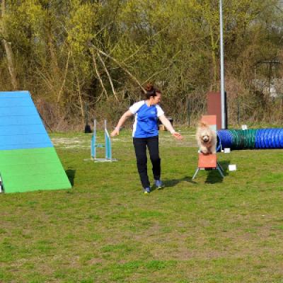 Agility-Training am 02.04.2017